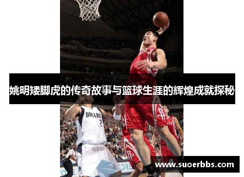 姚明矮脚虎的传奇故事与篮球生涯的辉煌成就探秘